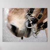 Fahrbit Poster (Vorne)