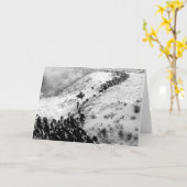 Fahren des Viehs im Winter Karte (Gelbe Blume)