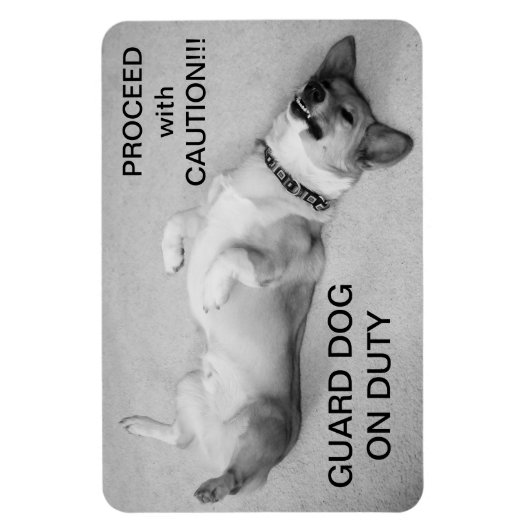 Fahren Sie mit Vorsicht fort Magnet (Vertikal)