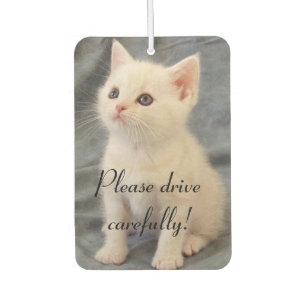 Fahren Sie vorsichtig Kitten Autolufterfrischer