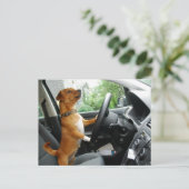 Fahrerlaubnis-Gratulationskarte Postkarte (Stehend Vorderseite)