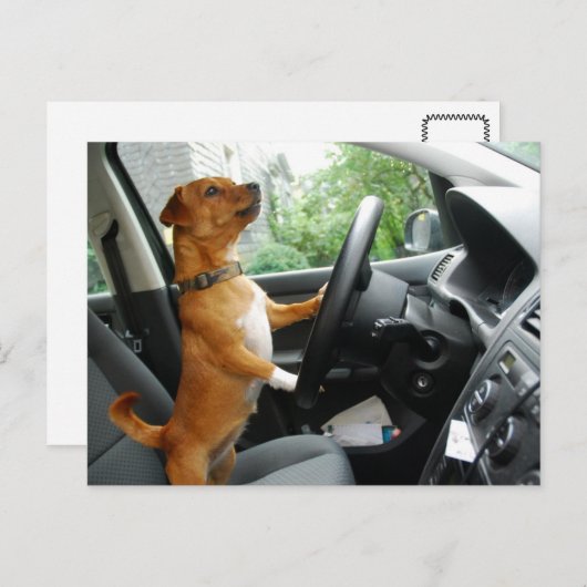 Fahrerlaubnis-Gratulationskarte Postkarte (Vorne/Hinten)