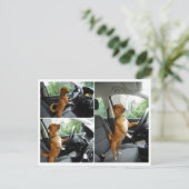 Fahrerlaubnis-Gratulationskarte Postkarte (Stehend Vorderseite)