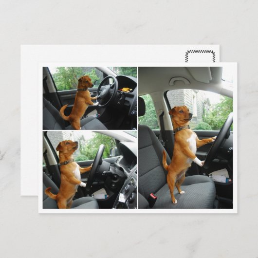 Fahrerlaubnis-Gratulationskarte Postkarte (Vorne/Hinten)