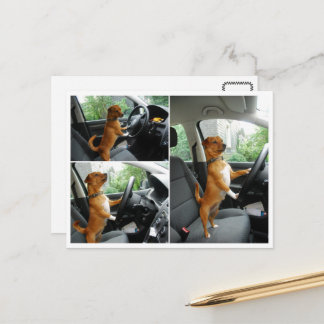 Fahrerlaubnis-Gratulationskarte Postkarte