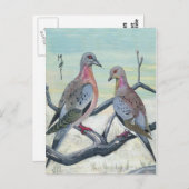 Fahrgasttauben Postkarte (Vorne/Hinten)