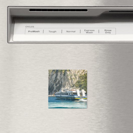 Fährhafen auf der Insel Capri Magnet (In Situ (Geschirrspüler))