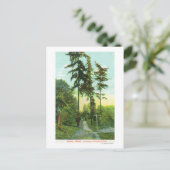 Fahrplan zum Woodland Park Postkarte (Stehend Vorderseite)