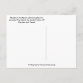 Fahrrad am Strand - Pine Island Florida Postkarte (Rückseite)