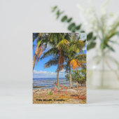 Fahrrad am Strand - Pine Island Florida Postkarte (Stehend Vorderseite)