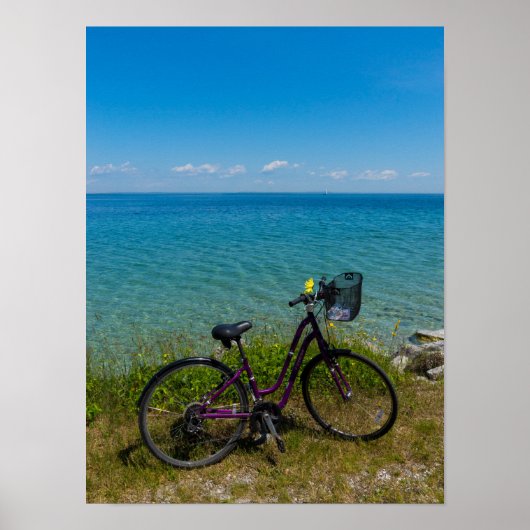 Fahrrad bei Mackinac Poster (Vorne)