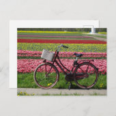 Fahrrad bei Tulips Field DIY Postkarte (Vorne/Hinten)