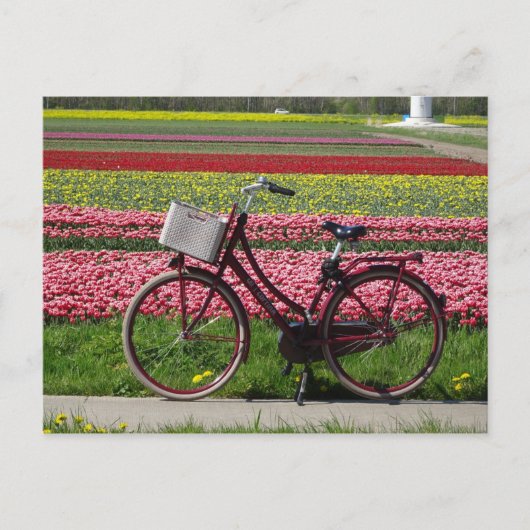 Fahrrad bei Tulips Field DIY Postkarte (Vorderseite)