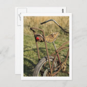 Fahrrad Fahrrad Fahrrad Banana Cruiser Postkarte (Vorne/Hinten)