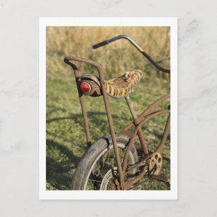 Fahrrad Fahrrad Fahrrad Banana Cruiser Postkarte