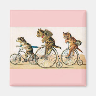 Fahrrad-Fahrt Magnet