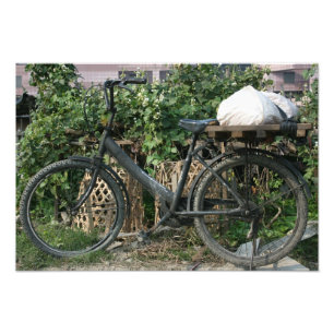 Fahrrad im Taipei-Garten, Taiwan Fotodruck