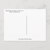 Fahrrad in Sun Duwer auf Hilton Head Island Beach Postkarte (Rückseite)