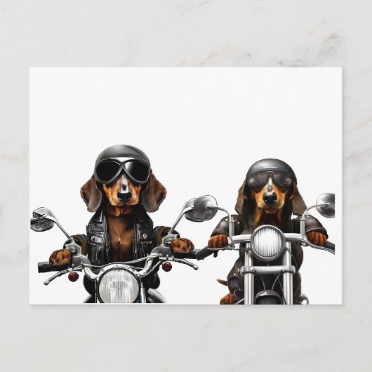 Fahrrad oder Die Dackel Postkarte (Vorderseite)