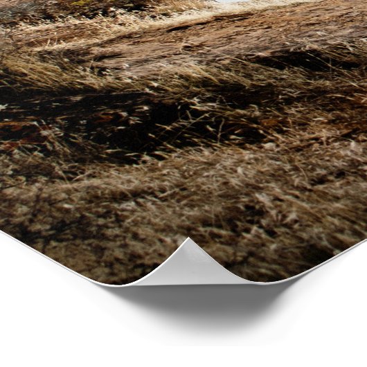 Fahrrad Poster (Ecke)