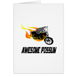Fahrrad-Reiter-fantastisches Opossum