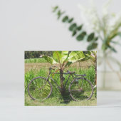 Fahrrad unter Bananenbaum Postkarte (Stehend Vorderseite)
