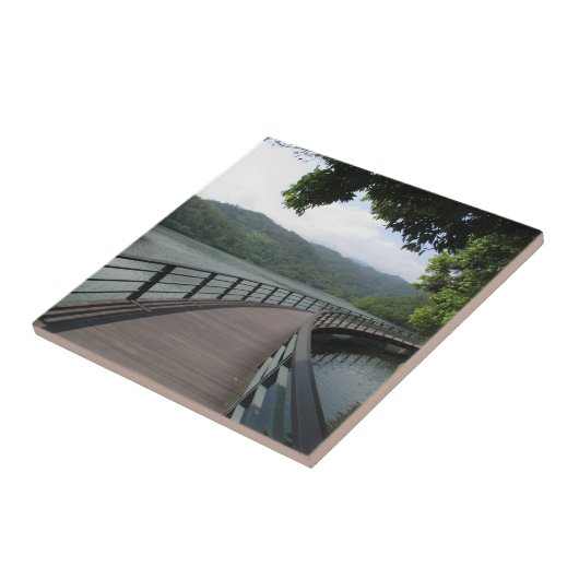 Fahrradbrücke über Wasser Fliese (Seite)