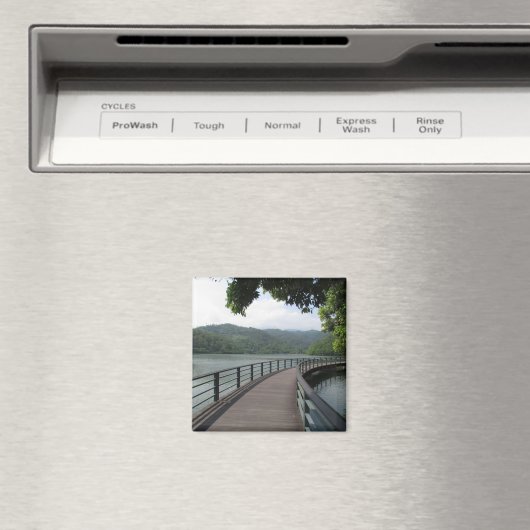 Fahrradbrücke über Wasser Magnet (In Situ (Geschirrspüler))