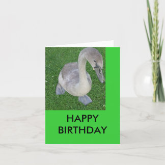 Fahrräder an Land, GLÜCKLICH GEBURTSTAG Karte