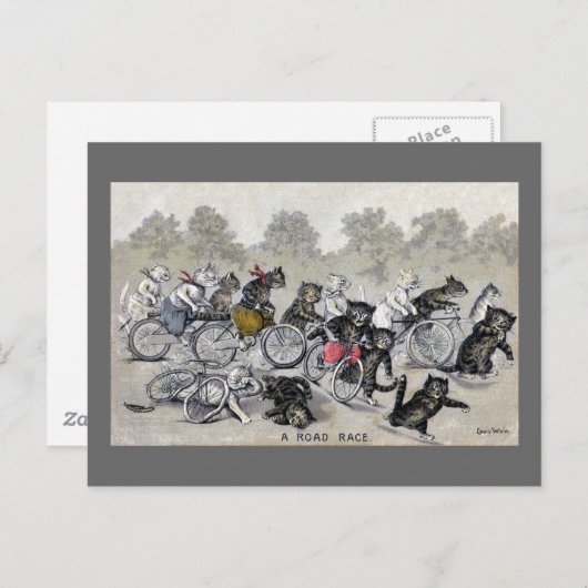 Fahrradfahrer Katzen Postkarte (Vorne/Hinten)