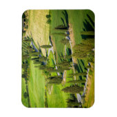 Fahrradgefahrene Straße mit Rechteckmagnet in der  Magnet (Vertikal)