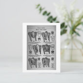 Fahrradmode1897 - Vintag Postkarte (Stehend Vorderseite)