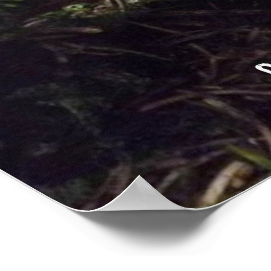 Fahrradposter Poster (Ecke)