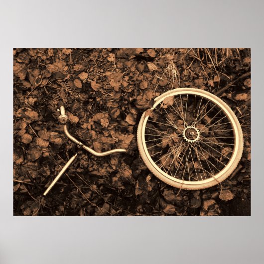 Fahrradteile mit Herbstlaub Poster (Vorne)