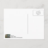 Fahrradtour nach unten Solidaritätskarte Postkarte (Rückseite)