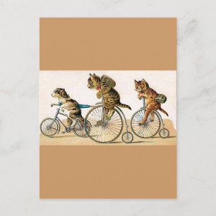 Fahrradtour Postkarte