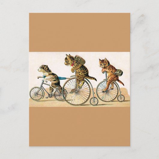 Fahrradtour Postkarte (Vorderseite)
