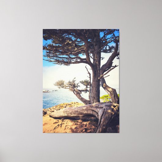 Fahrradweg am Meer Leinwanddruck (Vorderseite)