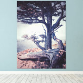 Fahrradweg am Meer Leinwanddruck (Insitu (Holzboden))