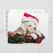 Fährschiff Welpe Feiertagspostkarte (Vorne/Hinten)