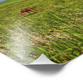 Fahrt durch das Landgut Palouse 3 Fotodruck (Ecke)