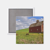 Fahrt durch das Landgut Palouse 3 Magnet (Vorderseite/Rückseite)