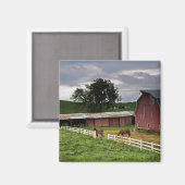 Fahrt durch das Landgut Palouse 4 Magnet (Vorderseite/Rückseite)