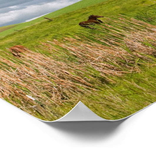 Fahrt durch das Landgut Palouse 4 Poster (Ecke)