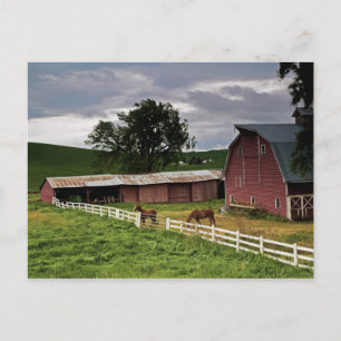 Fahrt durch das Landgut Palouse 4 Postkarte