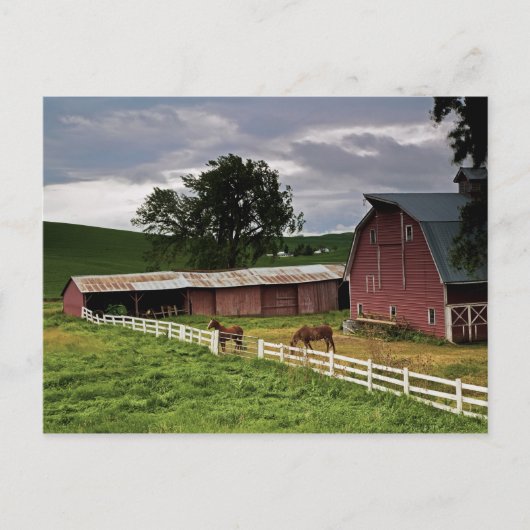 Fahrt durch das Landgut Palouse 4 Postkarte (Vorderseite)