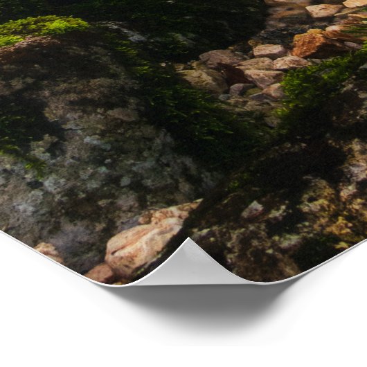 Fahrt durch den magischen Wald Poster (Ecke)