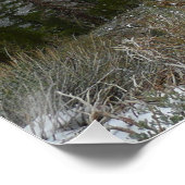 Fahrt durch die schneebedeckten Berge der Sierra N Poster (Ecke)