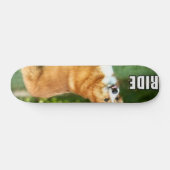 Fahrt für den Corgi Skateboard (Horizontal)