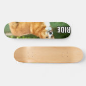 Fahrt für den Corgi Skateboard (Horizontal)